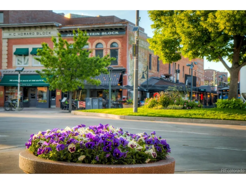 228 E Oak Street Fort Collins, CO 80524