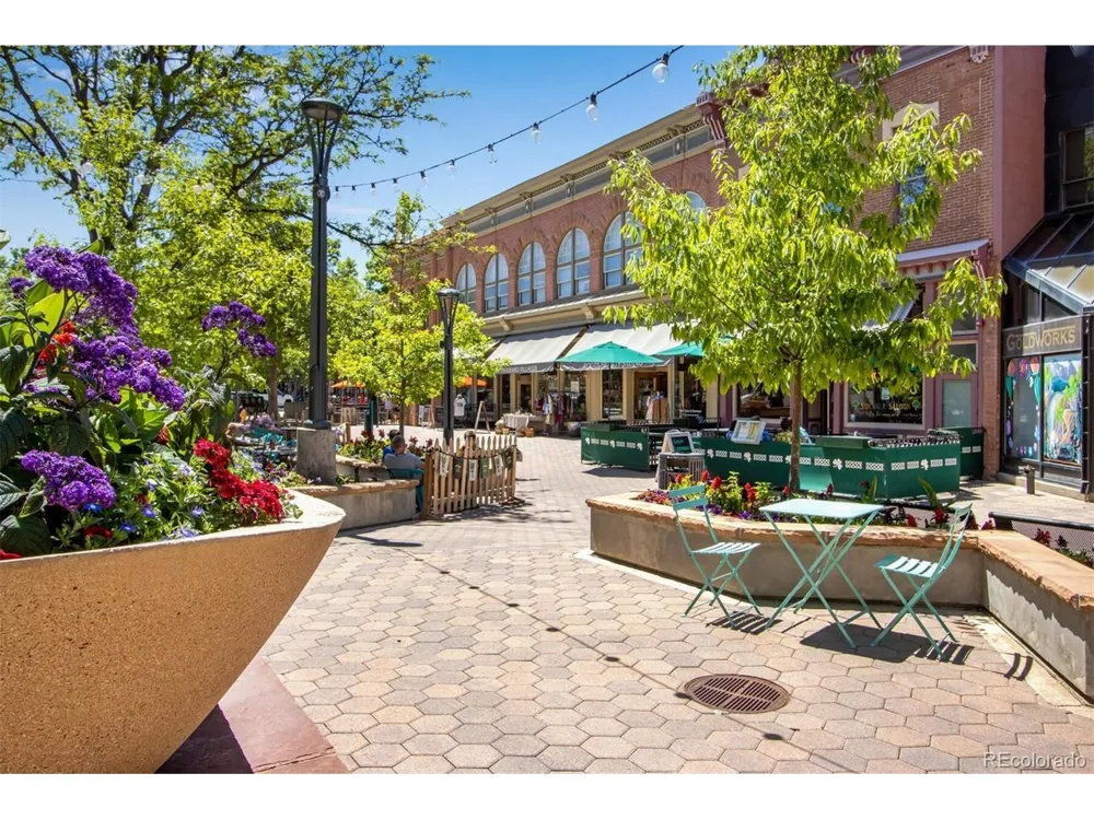 228 E Oak Street Fort Collins, CO 80524