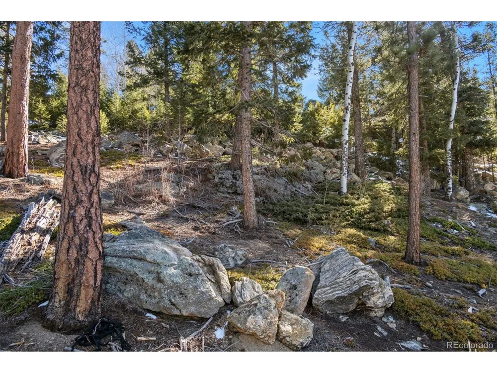 Granite Crag Circle Evergreen, CO 80439