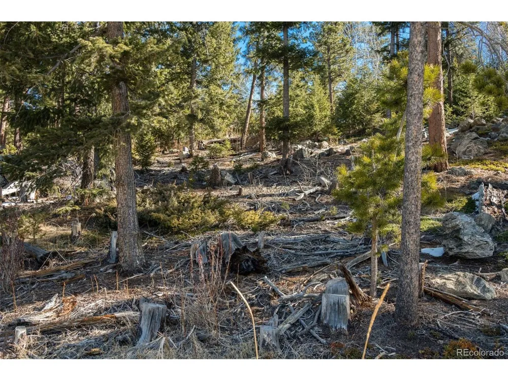 Granite Crag Circle Evergreen, CO 80439