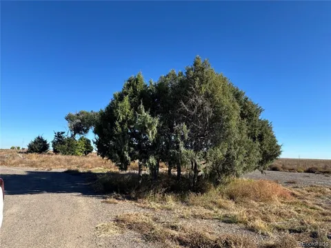 0 Weld County 49