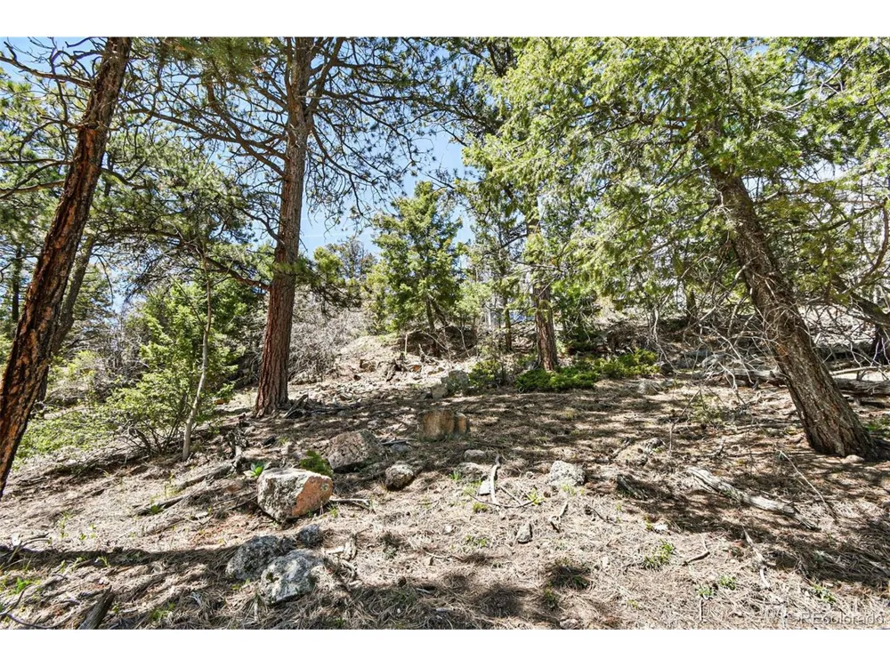 11618 Nichols Way Conifer, CO 80433