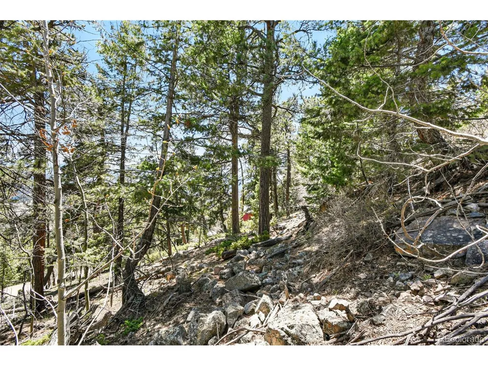11618 Nichols Way Conifer, CO 80433