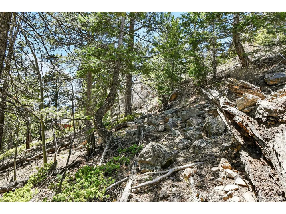 11618 Nichols Way Conifer, CO 80433