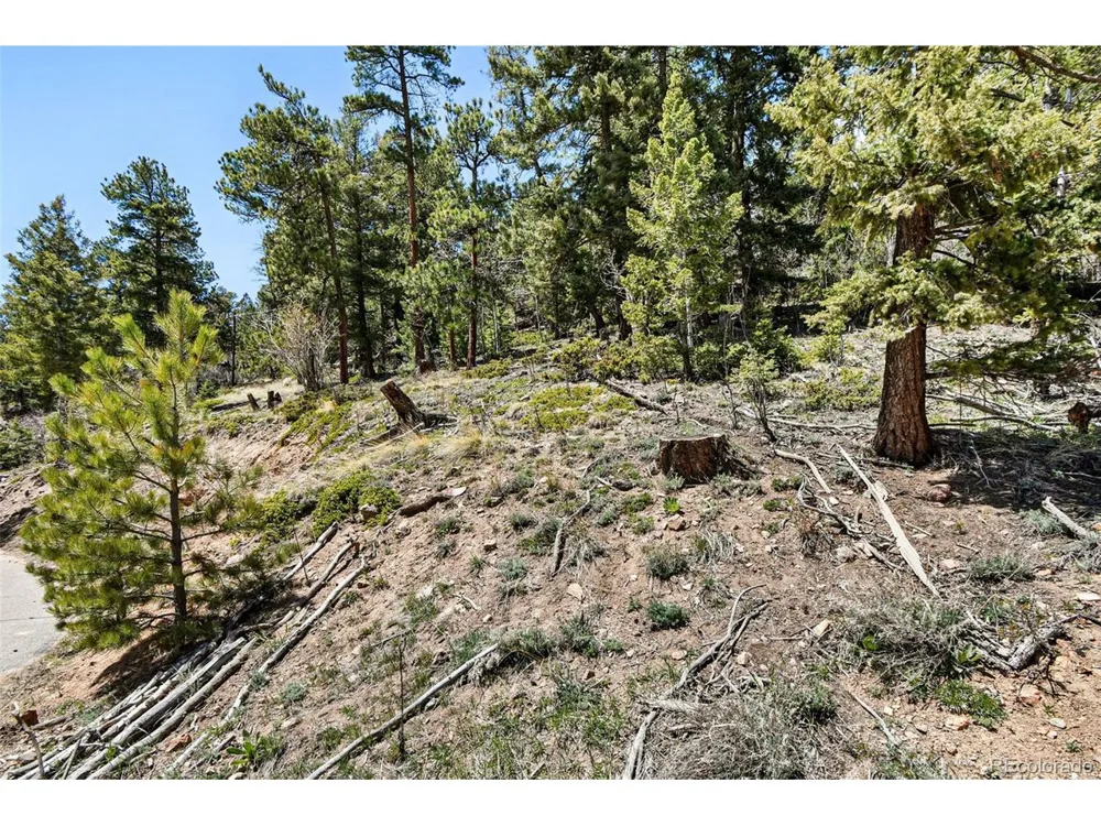 11618 Nichols Way Conifer, CO 80433