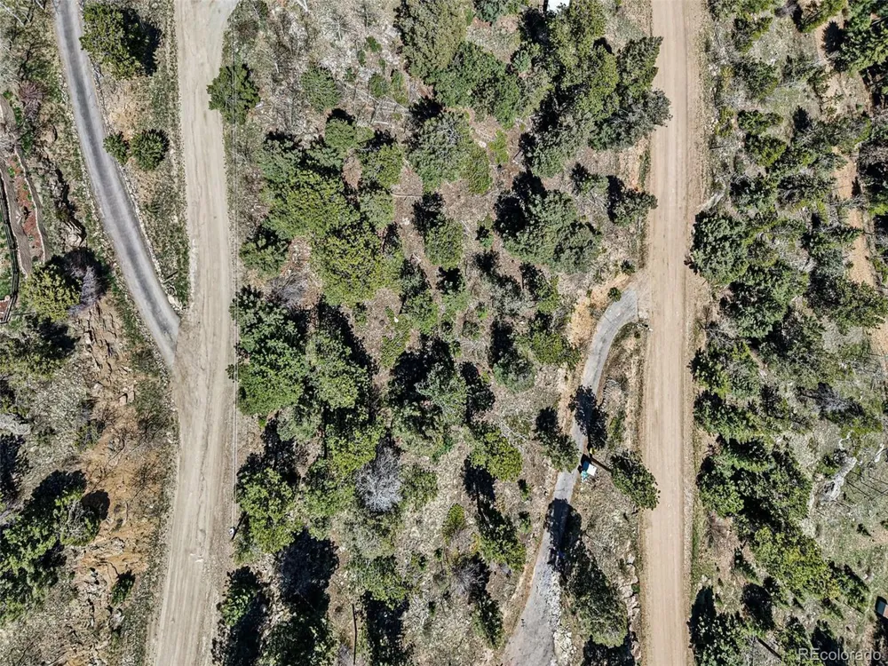 11618 Nichols Way Conifer, CO 80433