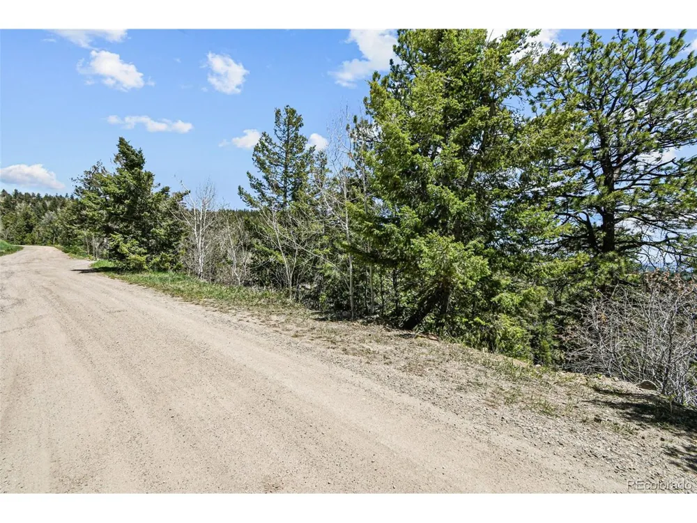 11618 Nichols Way Conifer, CO 80433
