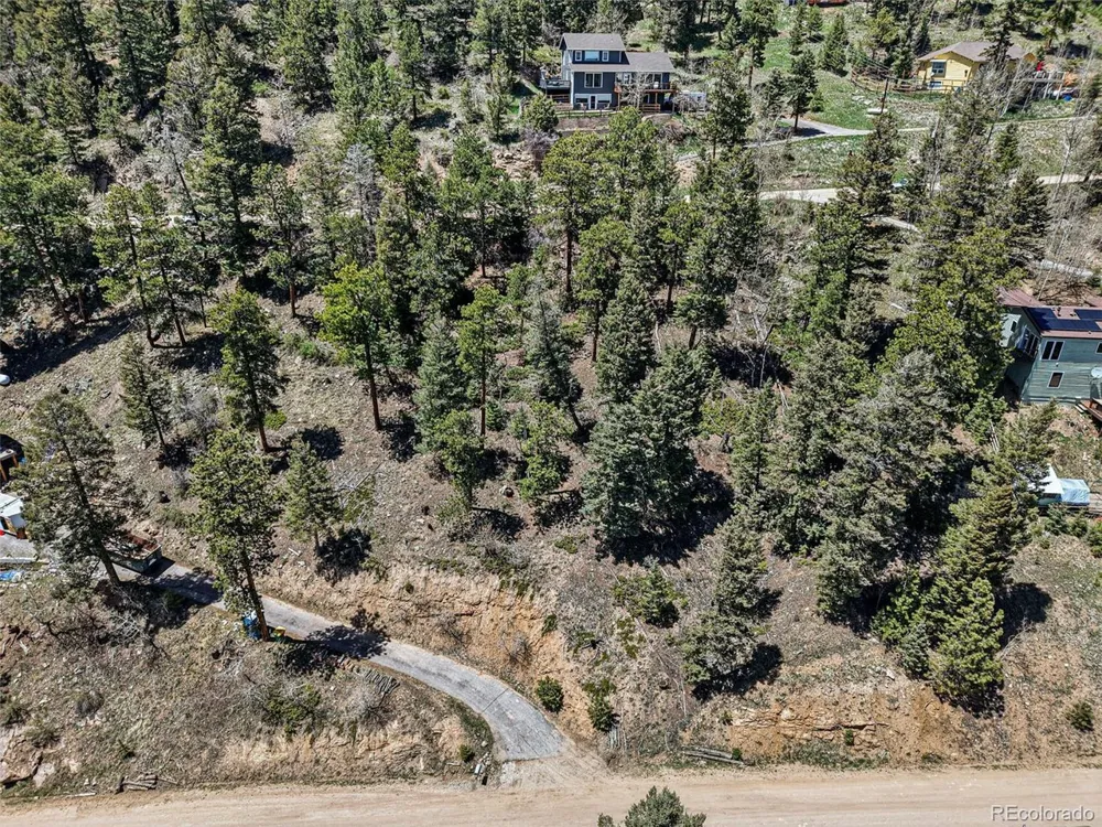 11618 Nichols Way Conifer, CO 80433