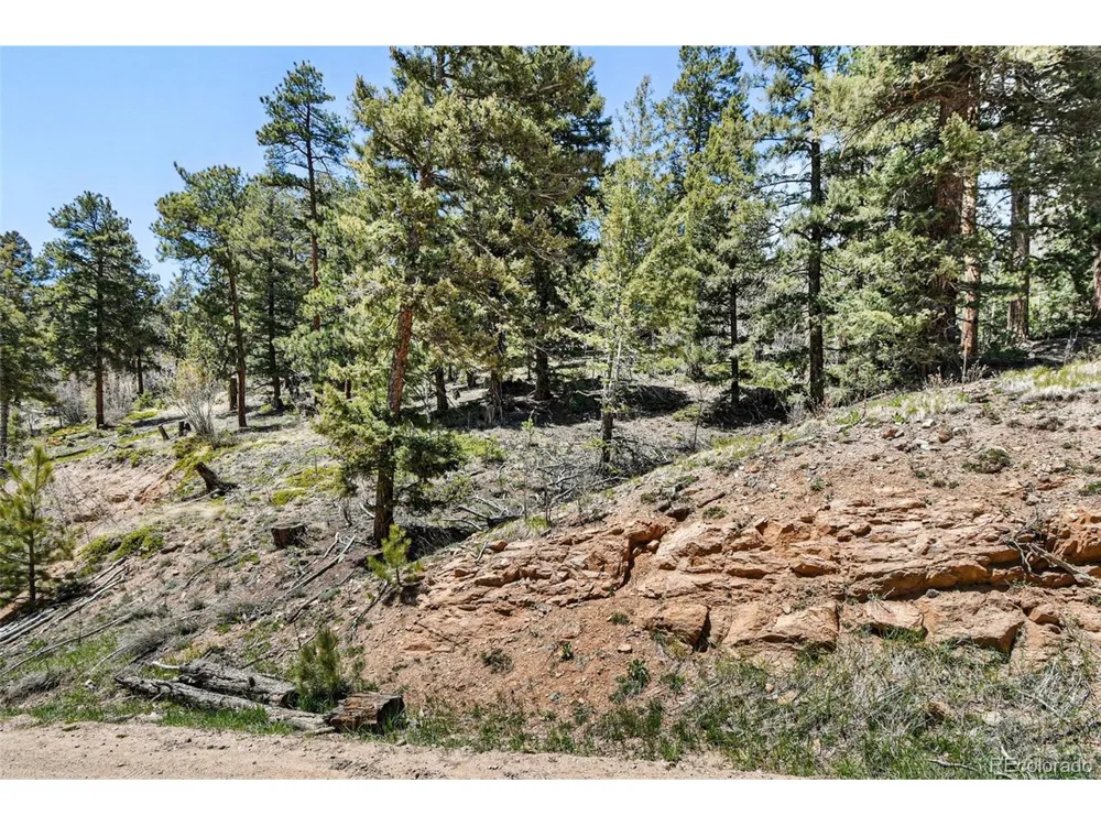 11618 Nichols Way Conifer, CO 80433