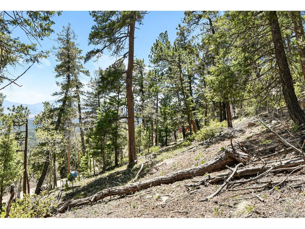 11618 Nichols Way Conifer, CO 80433