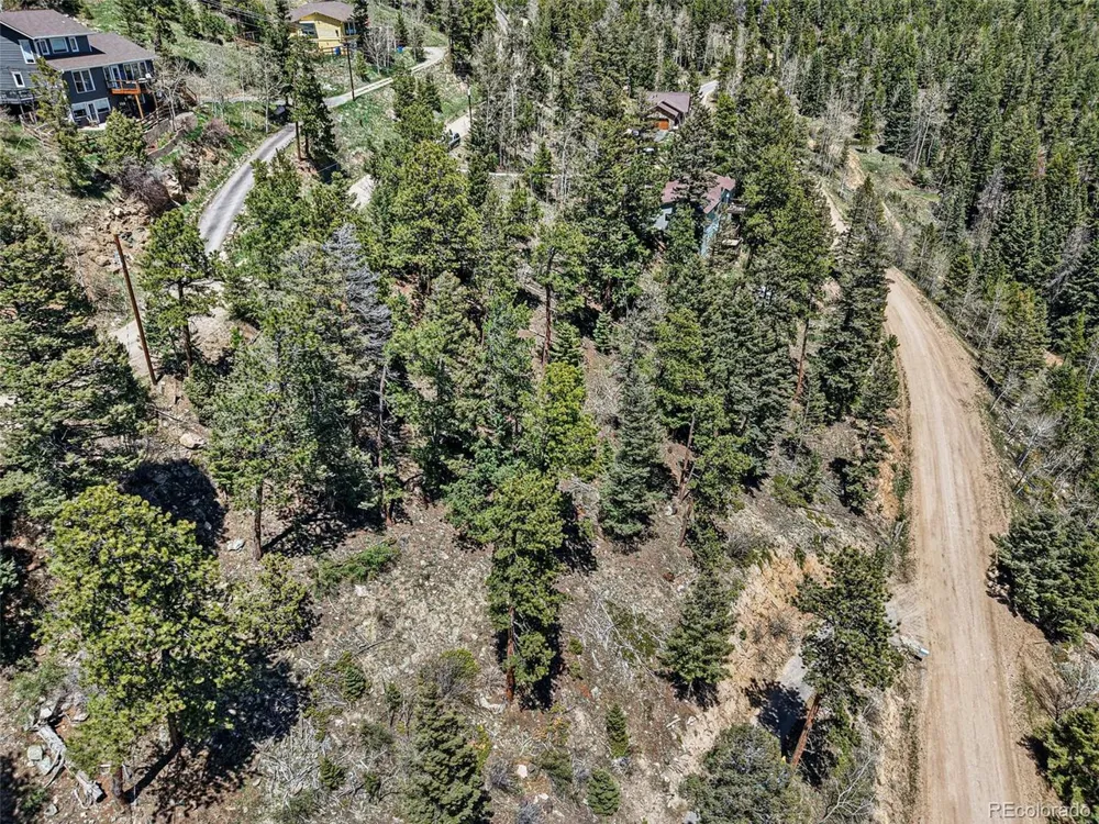 11618 Nichols Way Conifer, CO 80433