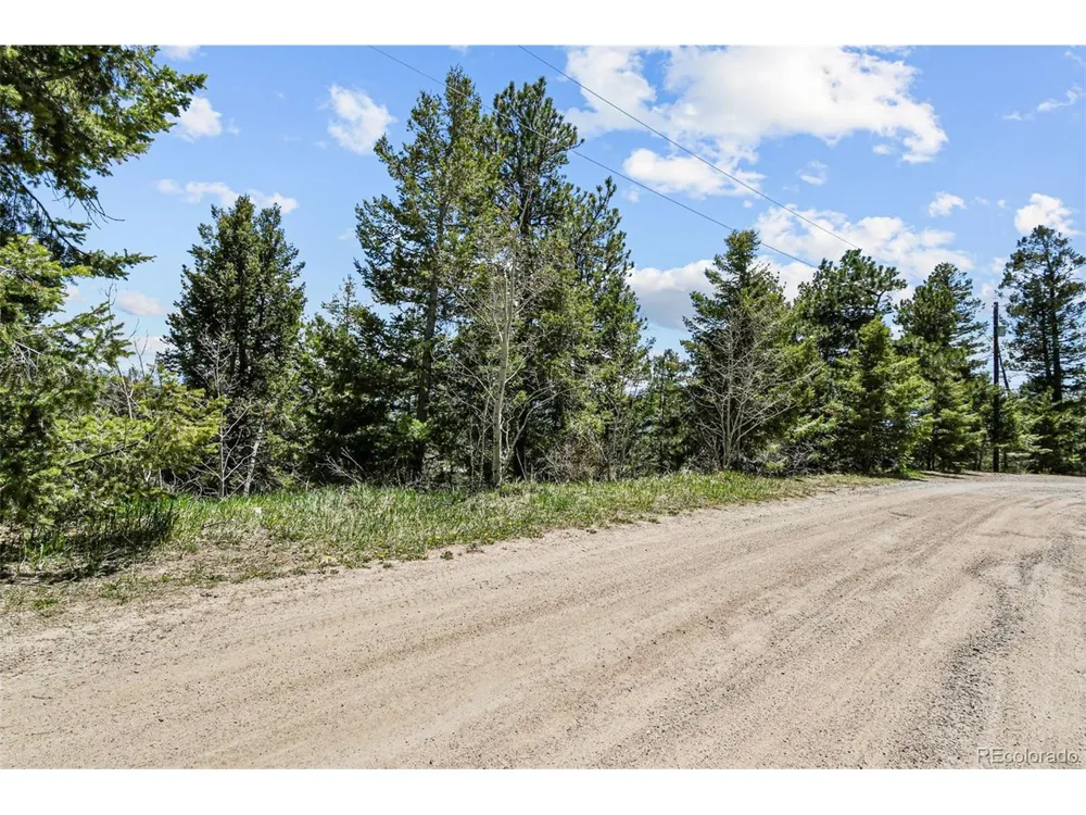 11618 Nichols Way Conifer, CO 80433