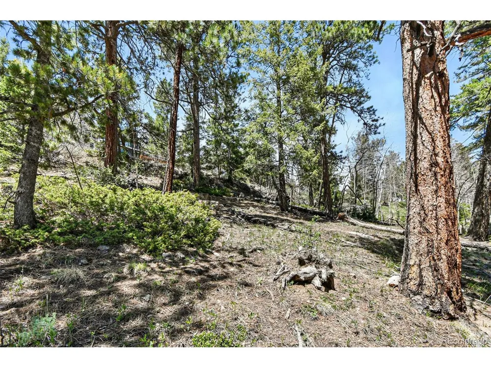 11618 Nichols Way Conifer, CO 80433