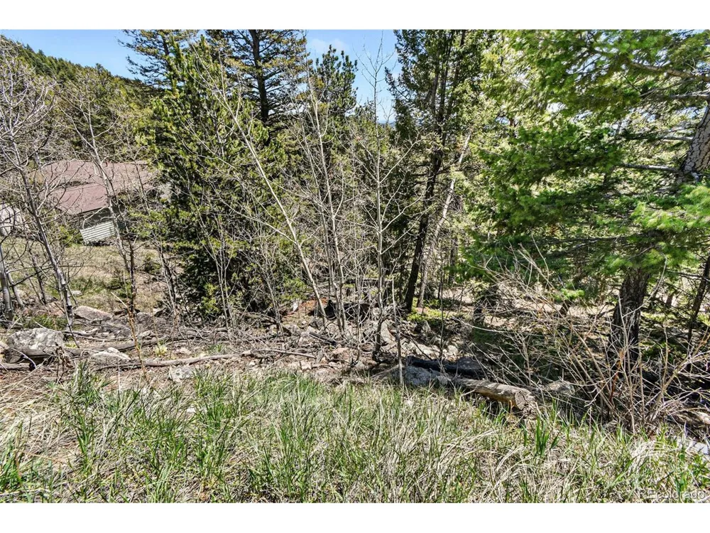 11618 Nichols Way Conifer, CO 80433