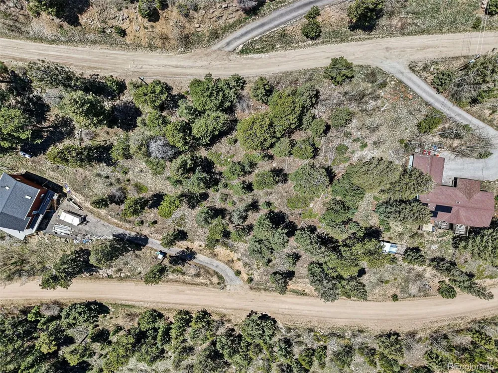 11618 Nichols Way Conifer, CO 80433