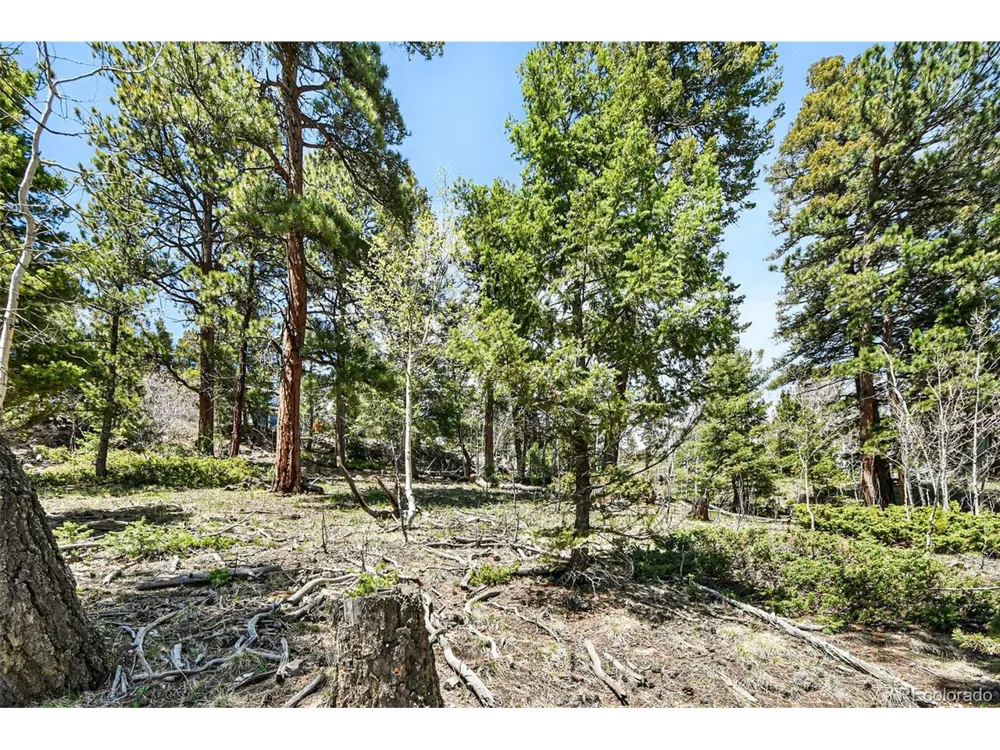11618 Nichols Way Conifer, CO 80433