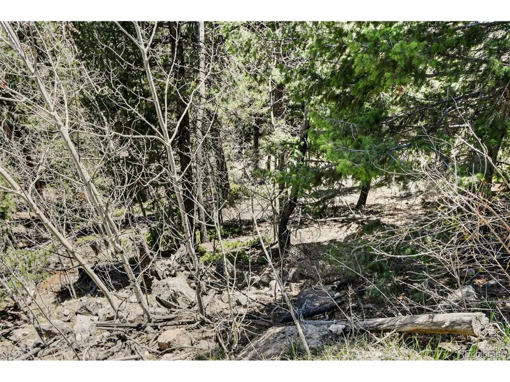 11618 Nichols Way Conifer, CO 80433