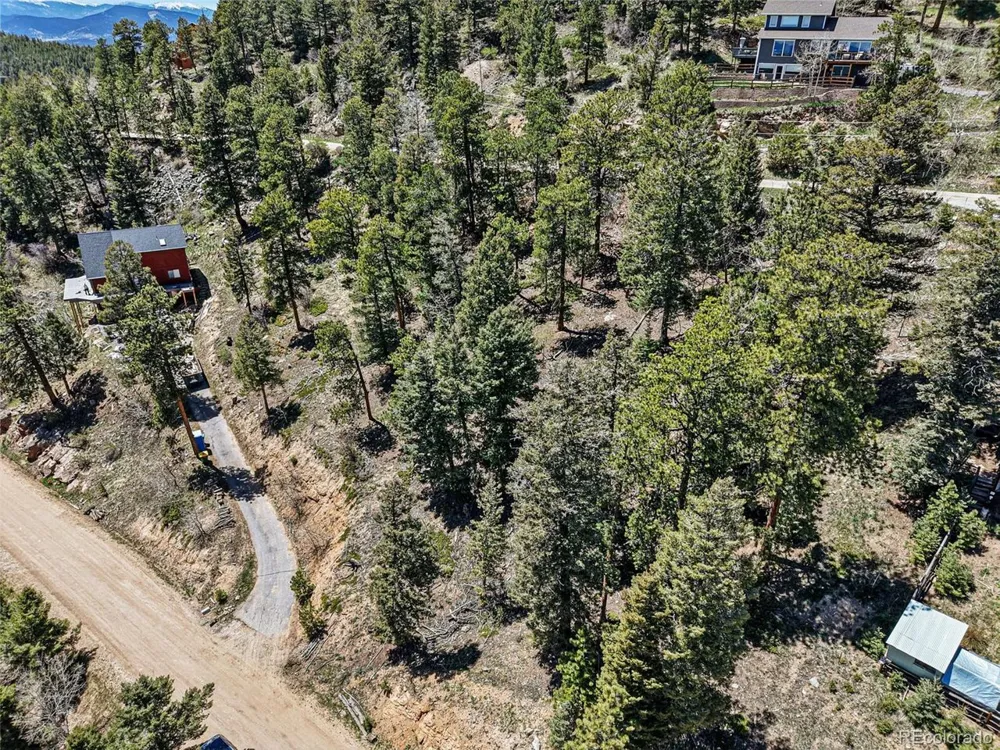 11618 Nichols Way Conifer, CO 80433