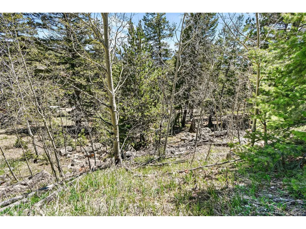 11618 Nichols Way Conifer, CO 80433