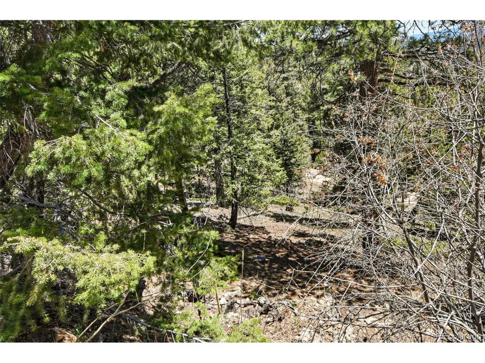 11618 Nichols Way Conifer, CO 80433