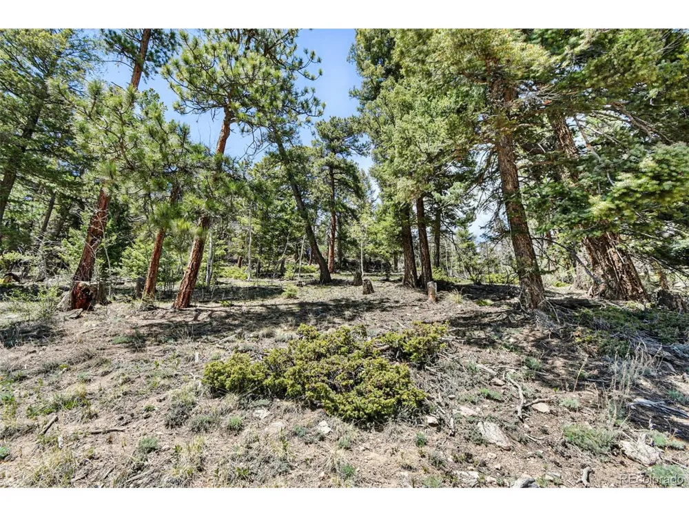 11618 Nichols Way Conifer, CO 80433