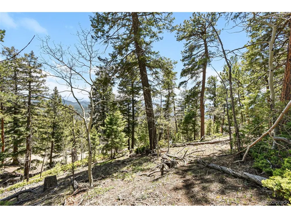 11618 Nichols Way Conifer, CO 80433