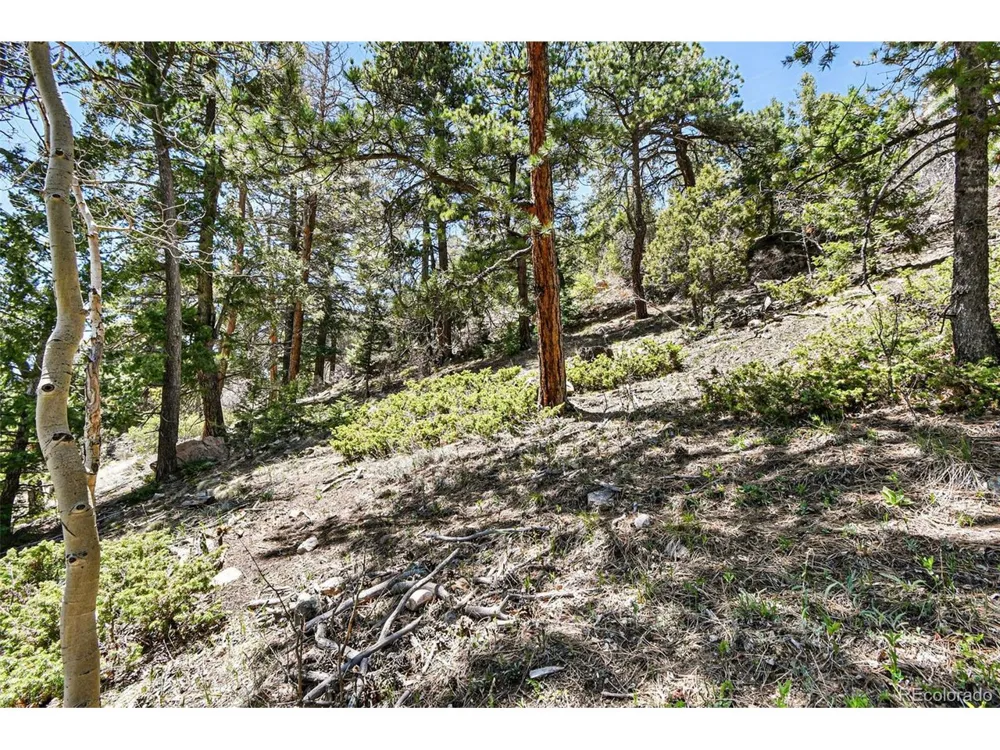 11618 Nichols Way Conifer, CO 80433