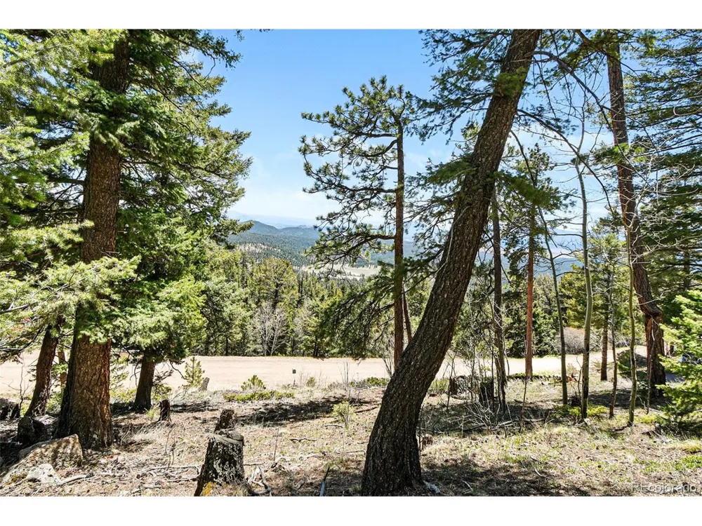 11618 Nichols Way Conifer, CO 80433