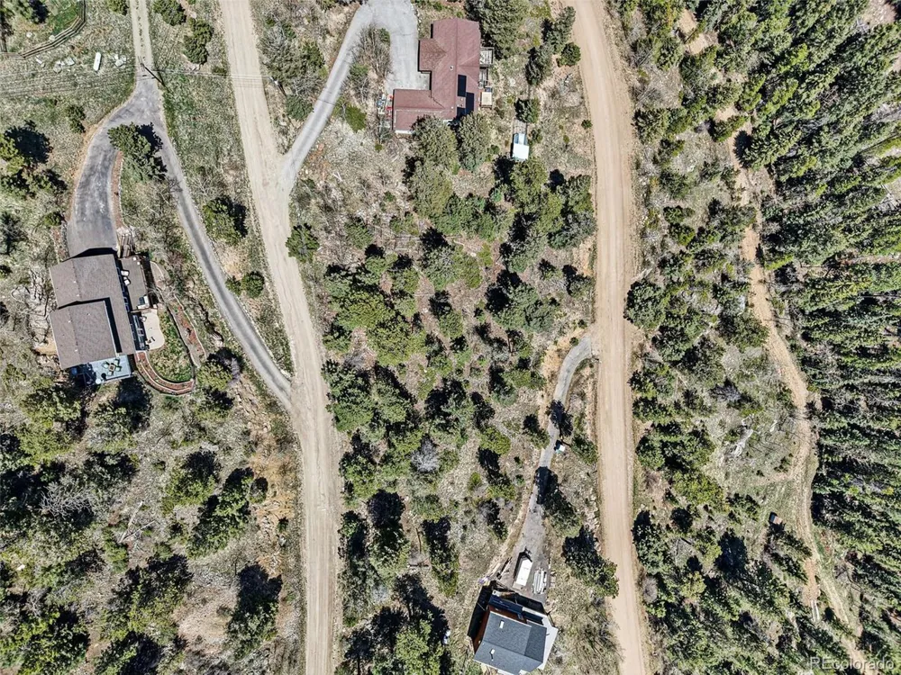 11618 Nichols Way Conifer, CO 80433