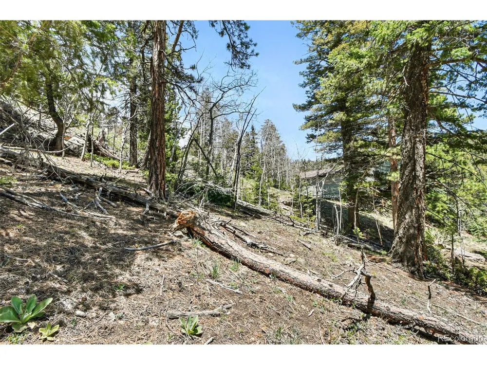 11618 Nichols Way Conifer, CO 80433