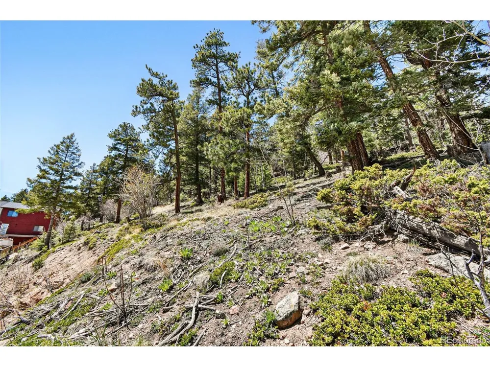 11618 Nichols Way Conifer, CO 80433