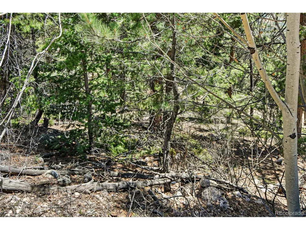 11618 Nichols Way Conifer, CO 80433
