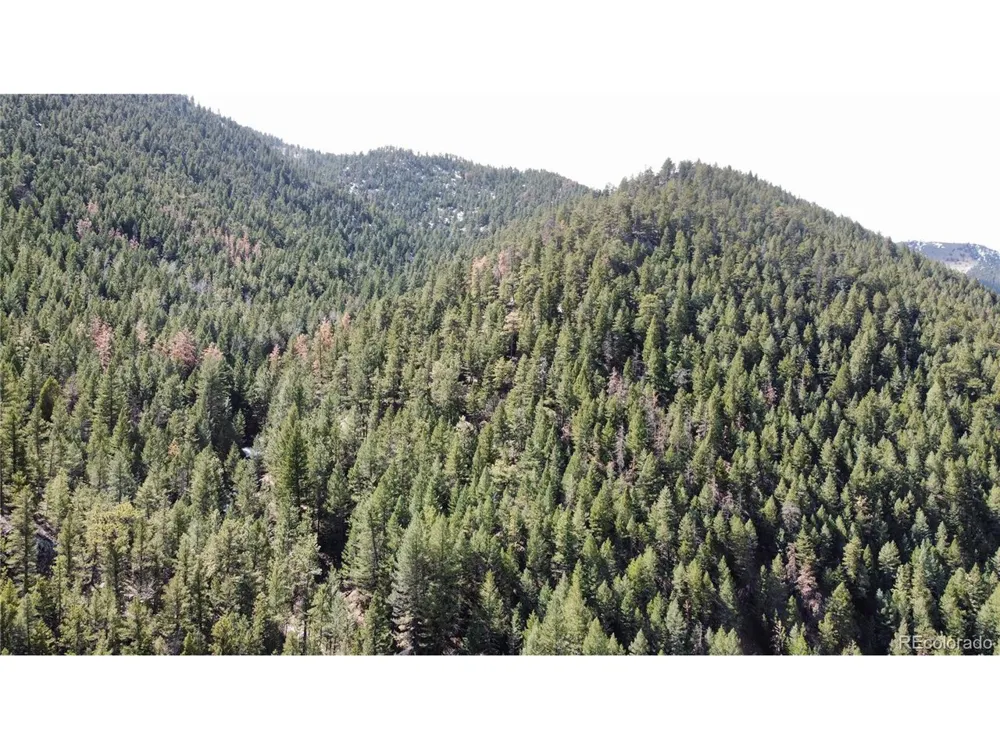 7893 Fourmile Canyon Drive Boulder, CO 80302