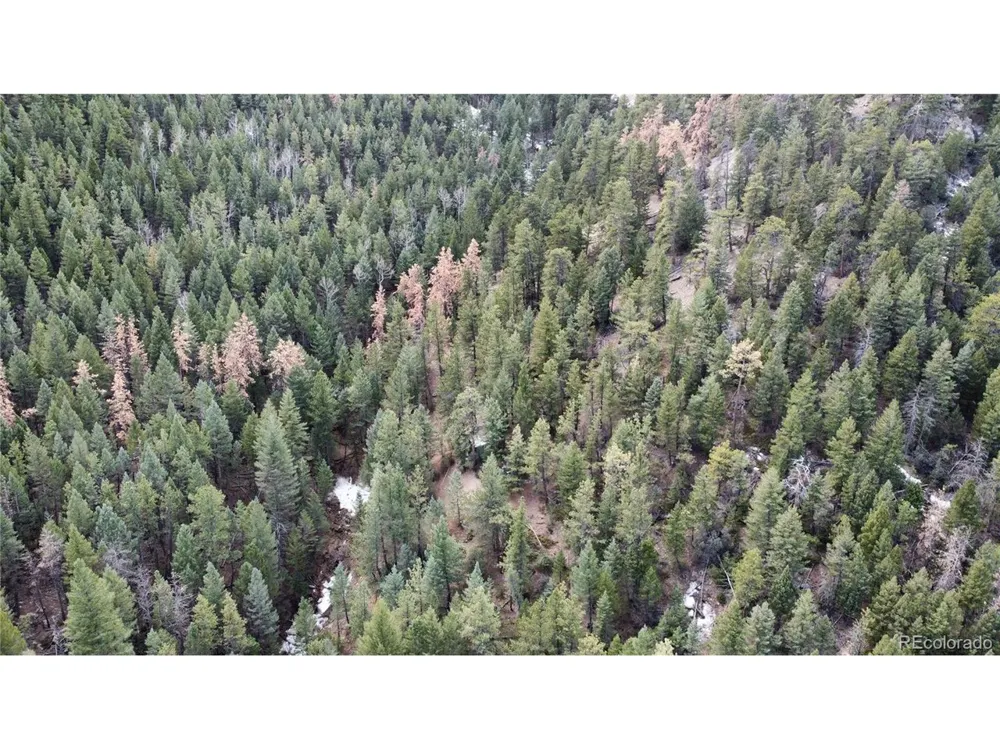 7893 Fourmile Canyon Drive Boulder, CO 80302