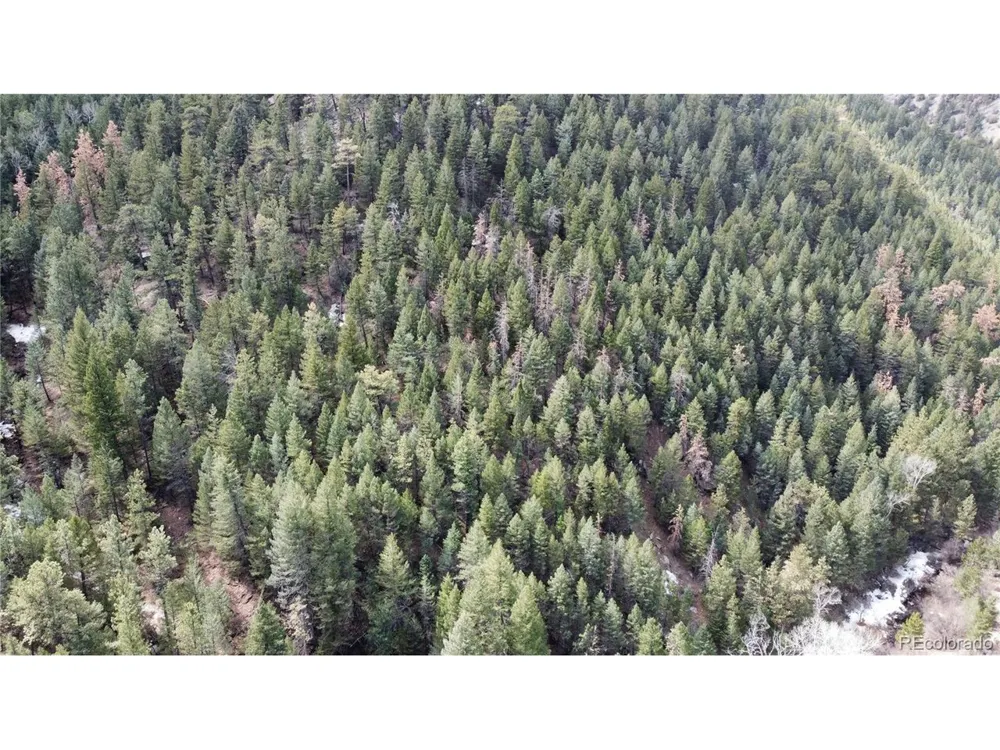 7893 Fourmile Canyon Drive Boulder, CO 80302