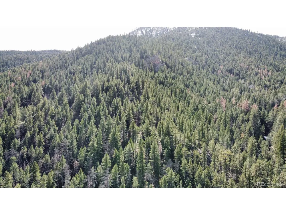 7893 Fourmile Canyon Drive Boulder, CO 80302