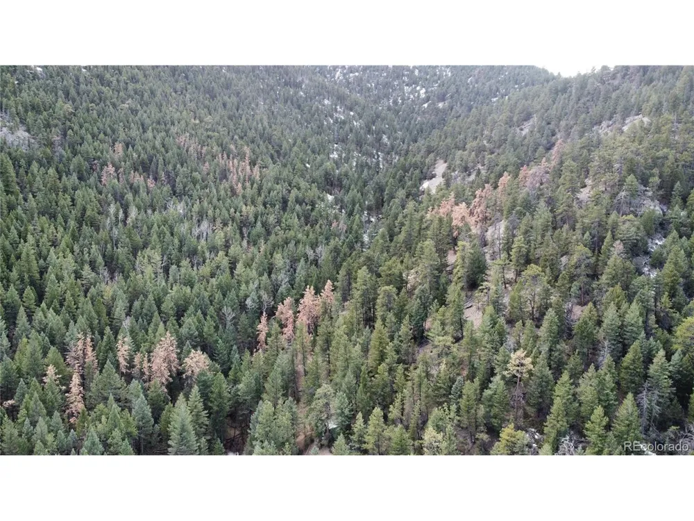7893 Fourmile Canyon Drive Boulder, CO 80302