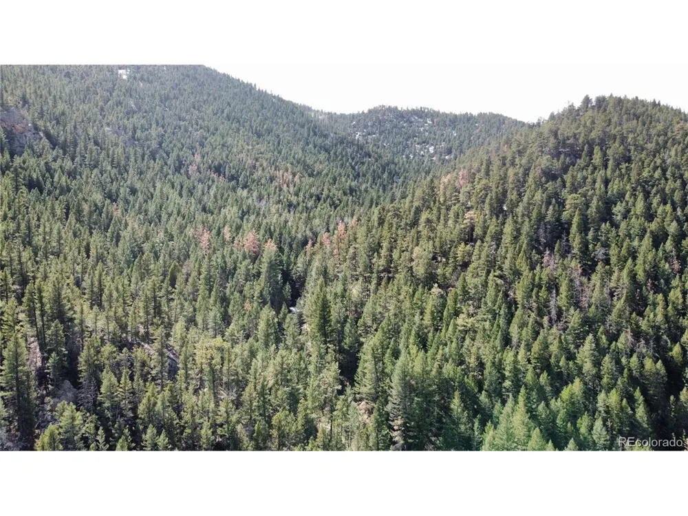 7893 Fourmile Canyon Drive Boulder, CO 80302