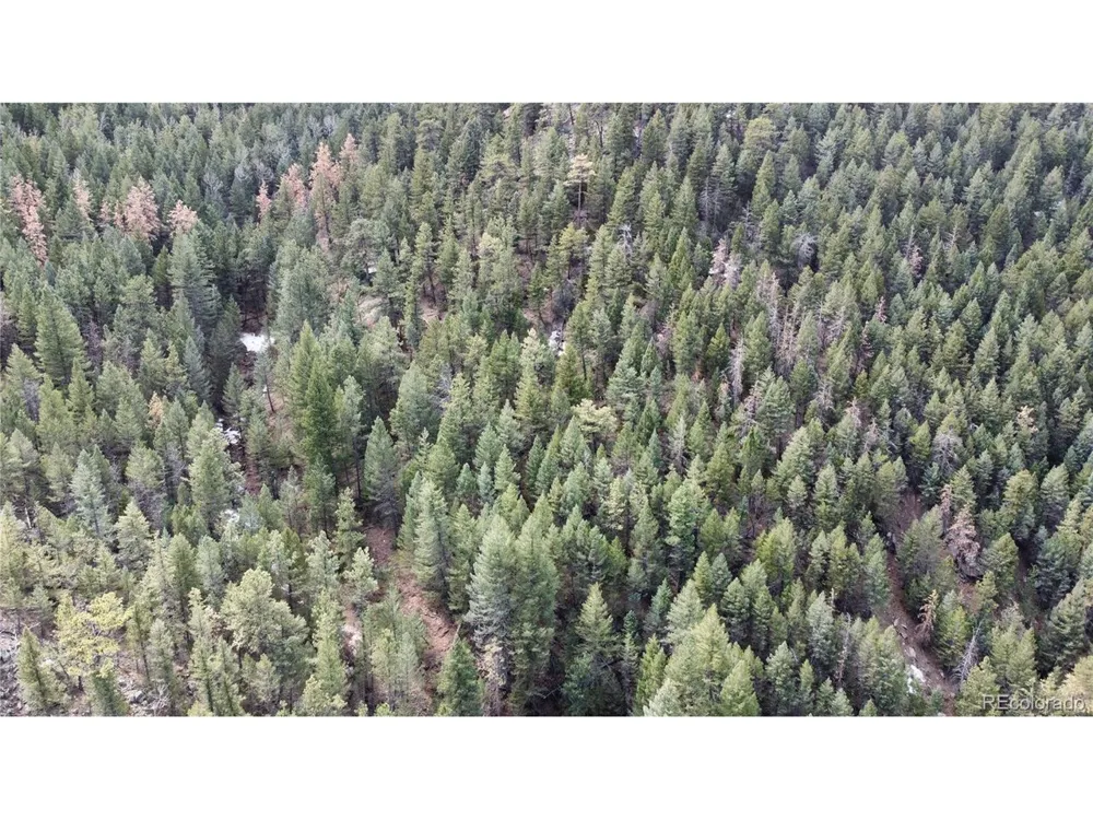 7893 Fourmile Canyon Drive Boulder, CO 80302