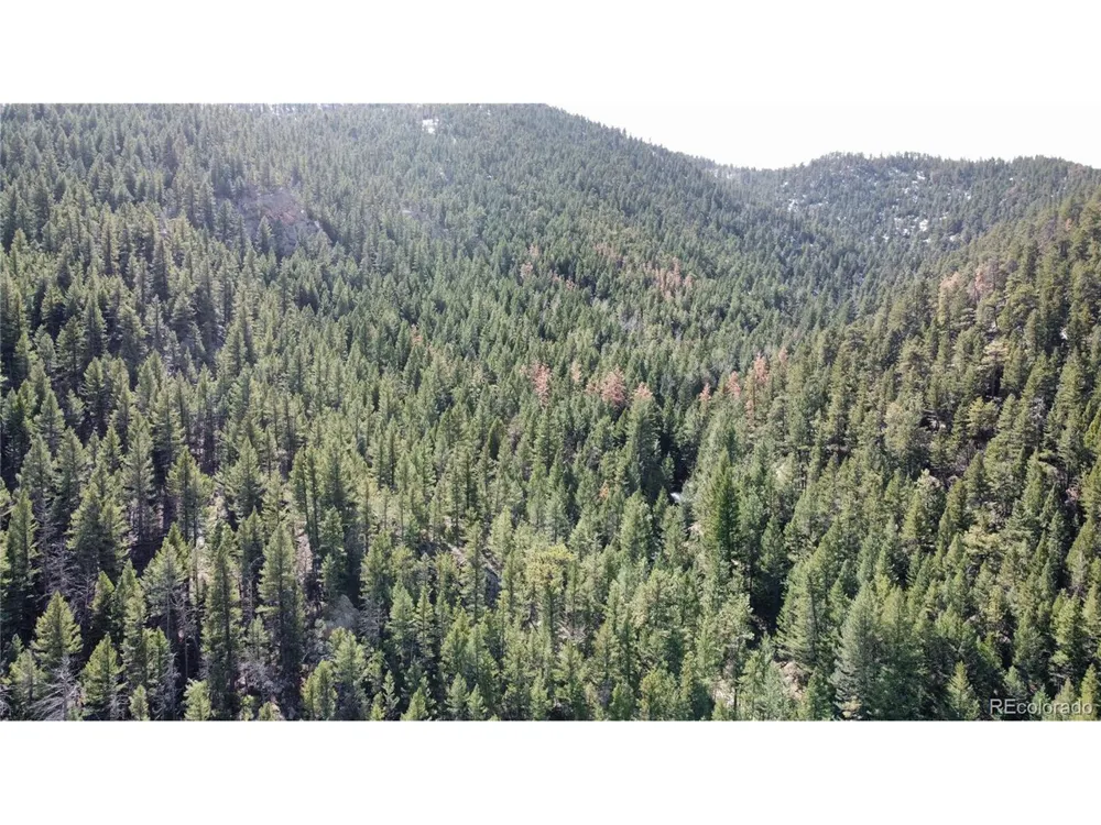 7893 Fourmile Canyon Drive Boulder, CO 80302