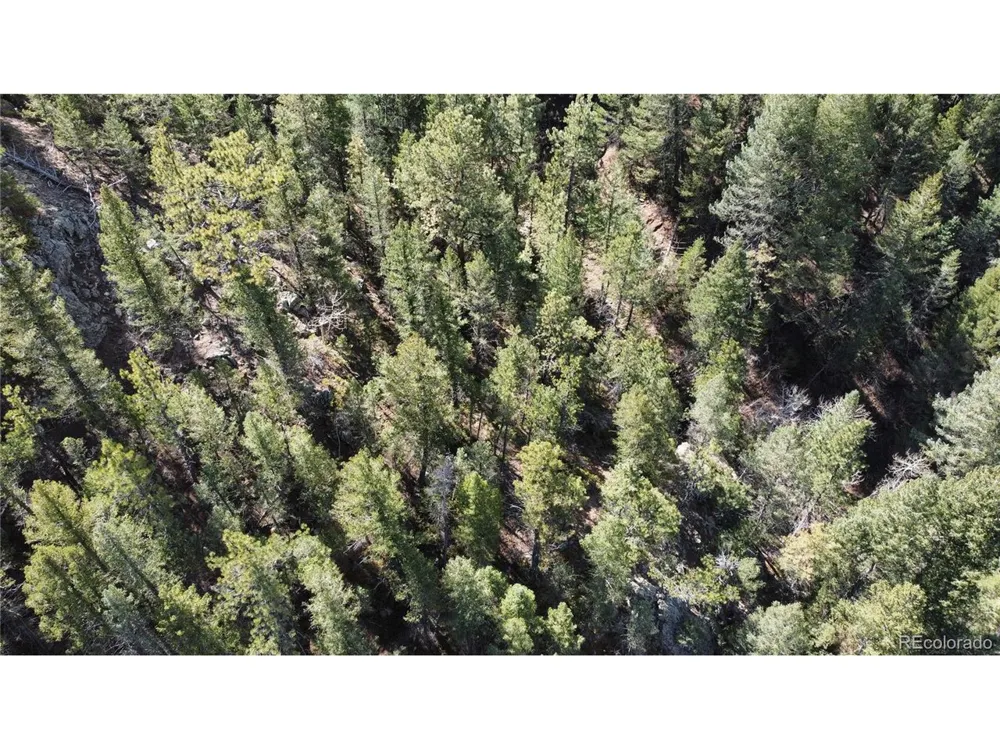 7893 Fourmile Canyon Drive Boulder, CO 80302