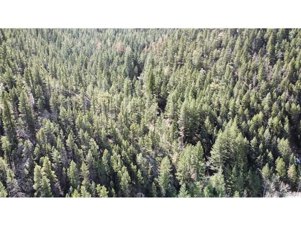 7893 Fourmile Canyon Drive Boulder, CO 80302