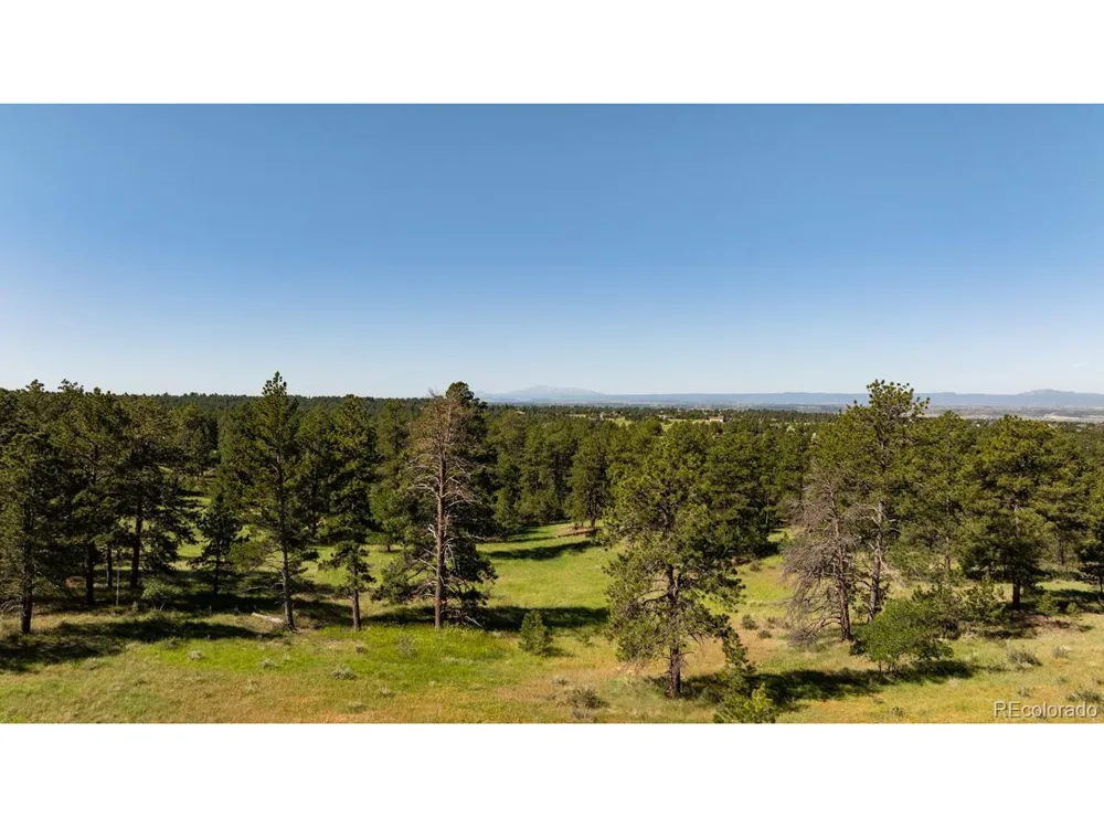 10348 Pine Song Place Parker, CO 80138
