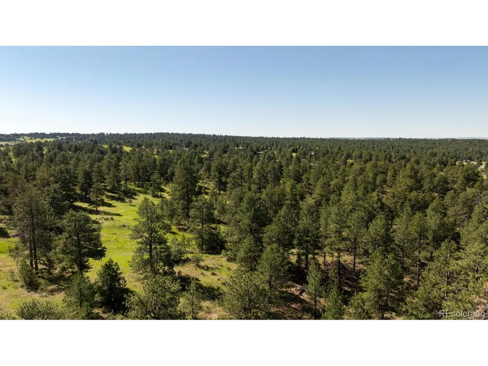10348 Pine Song Place Parker, CO 80138