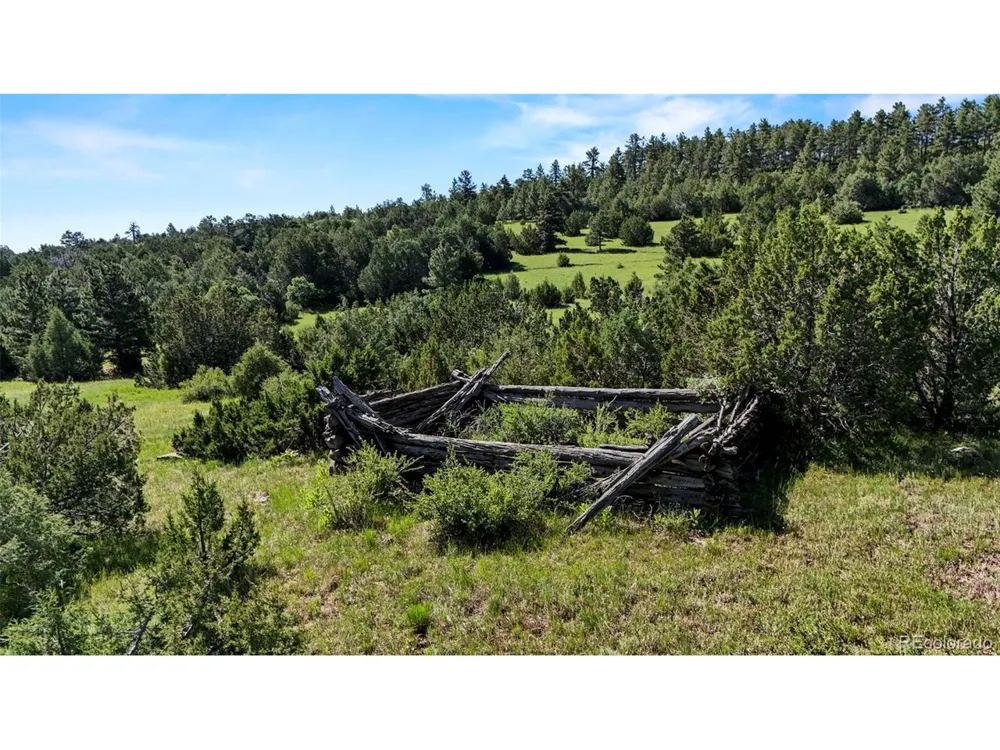 Old Homestead Lane Beulah, CO 81023