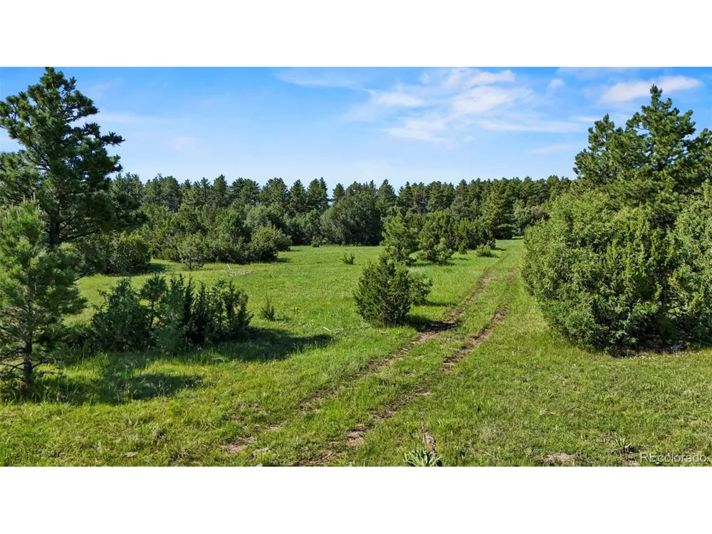 Old Homestead Lane Beulah, CO 81023