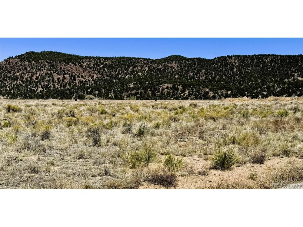 9971 Mint Lane Salida, CO 81201