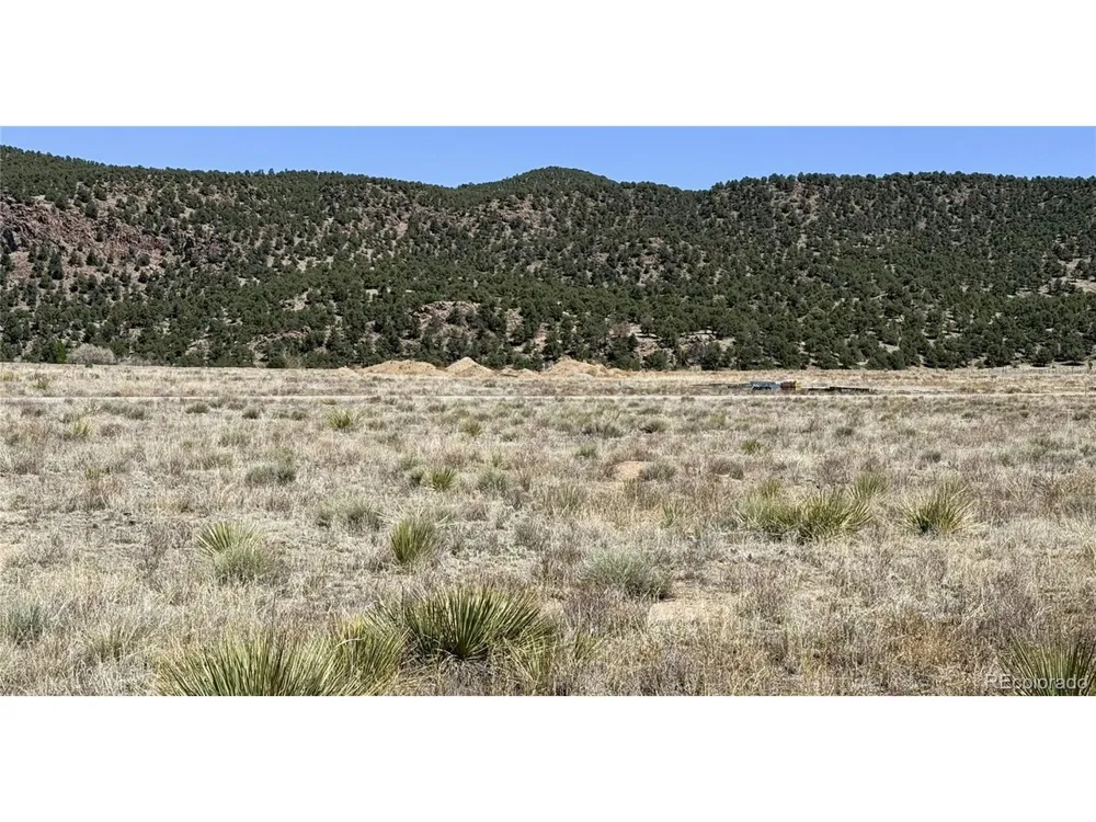 9971 Mint Lane Salida, CO 81201
