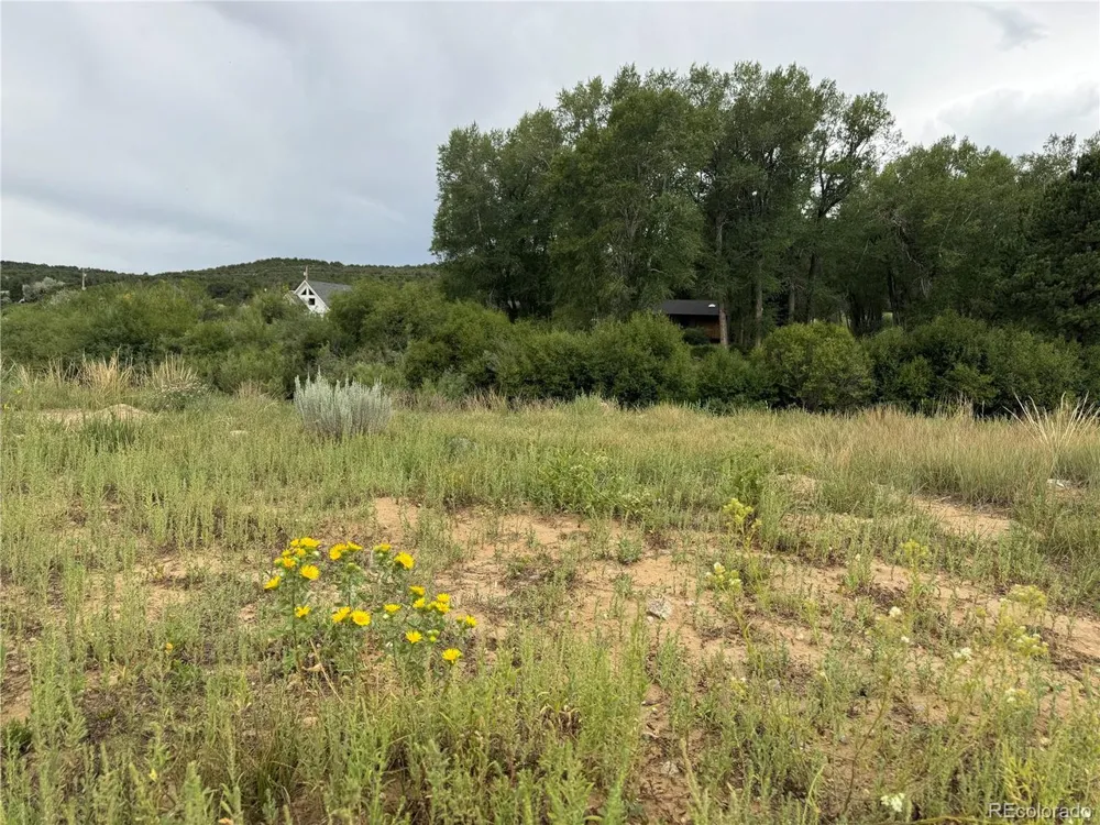 24277 River Rock Lane Buena Vista, CO 81211