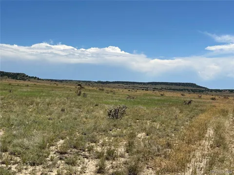 4 Outback Ranch